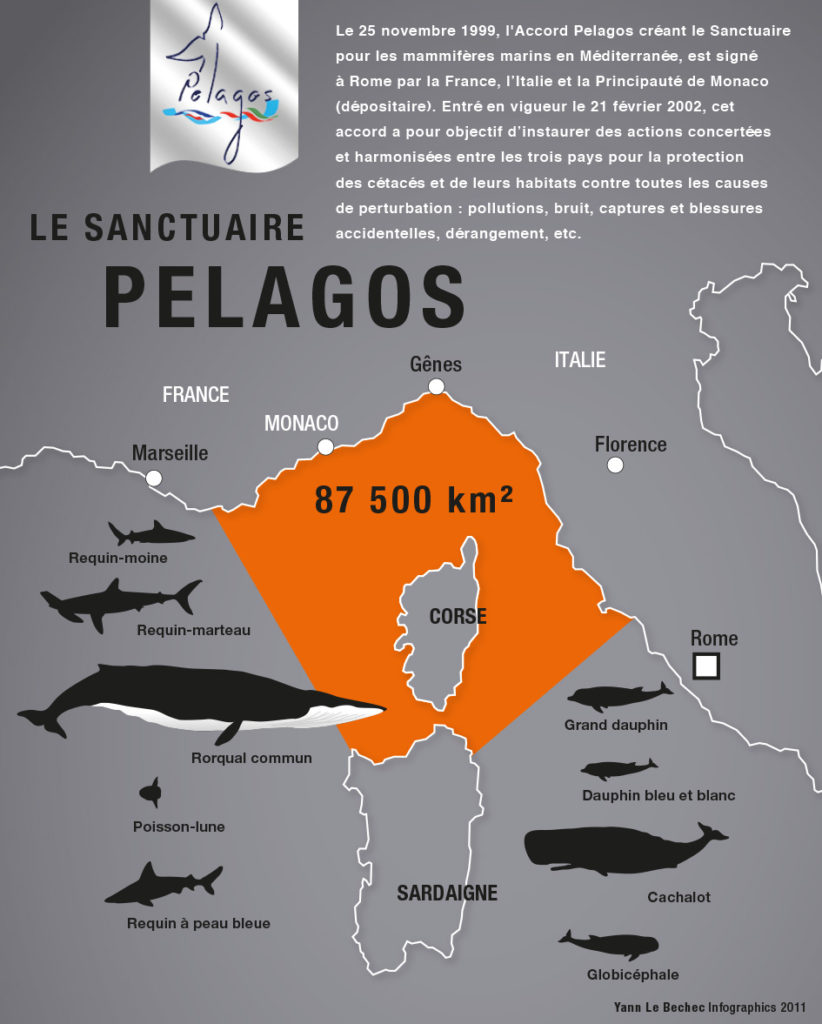 Le sanctuaire Pelagos