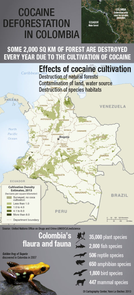 Cocaine déforestation