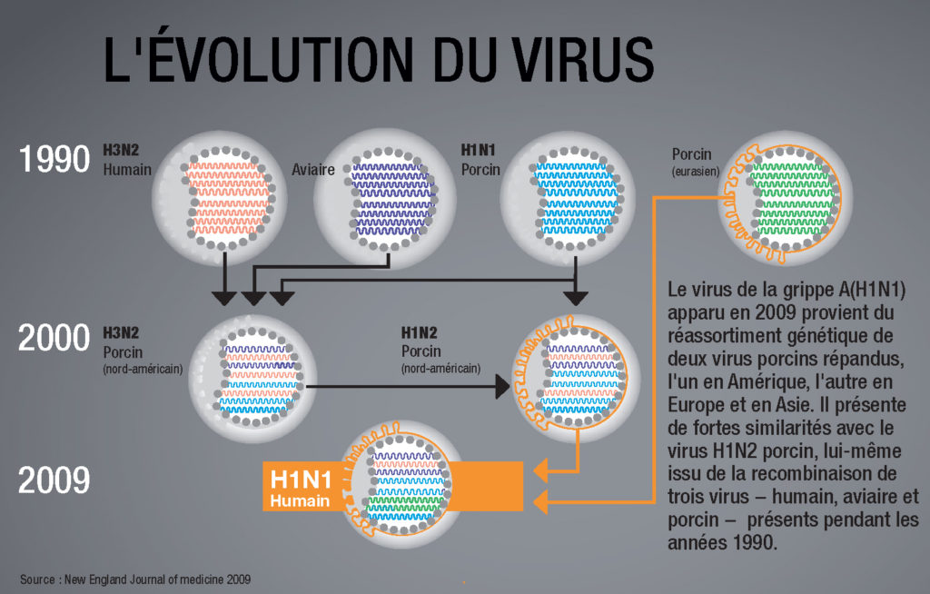  Grippe L'évolution du virus