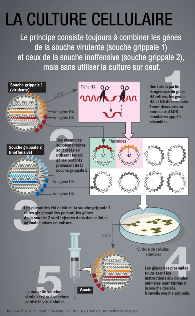 Vaccin La culture cellulaire